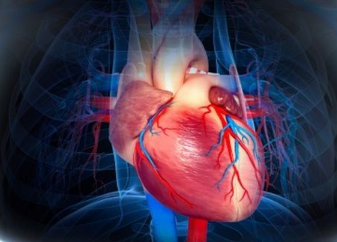 心脏房颤是什么症状