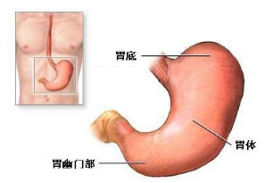 经常胃疼会不会得胃癌