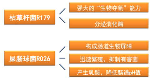 妈咪爱益生菌关注婴幼儿肠道健康，消除妈妈困扰