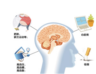 脑卒中病因及预防措施