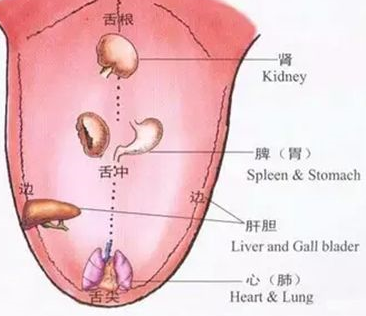 宝宝地图舌的原因