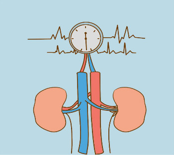 肾性高血压能治好吗？肾性高血压吃什么降压药？需重视治疗