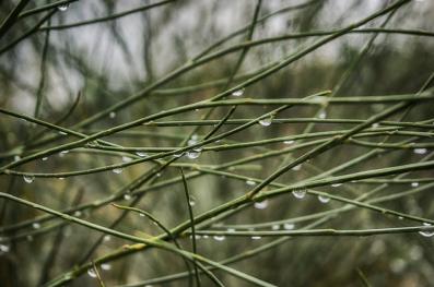 梅雨季节湿气重怎么办？赶走湿气，保持心情愉悦