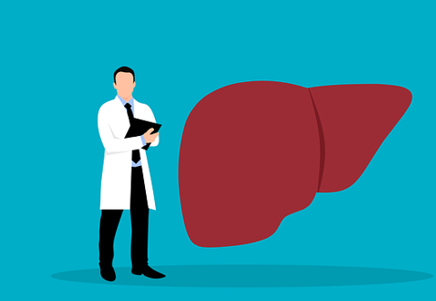 一篇搞清楚克癀胶囊的成分解析，守护肝脏健康