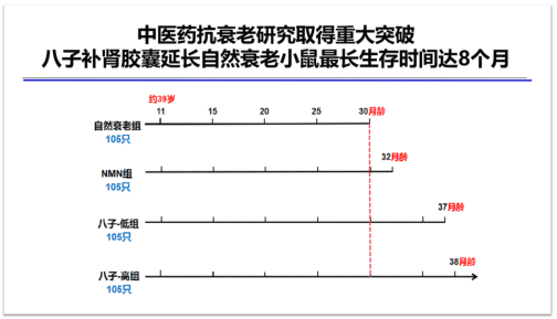 读懂八子补肾胶囊说明书，科学服用让衰老慢一些