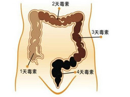 空腹吃什么能通便