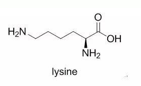 什么牌子赖氨酸能增高